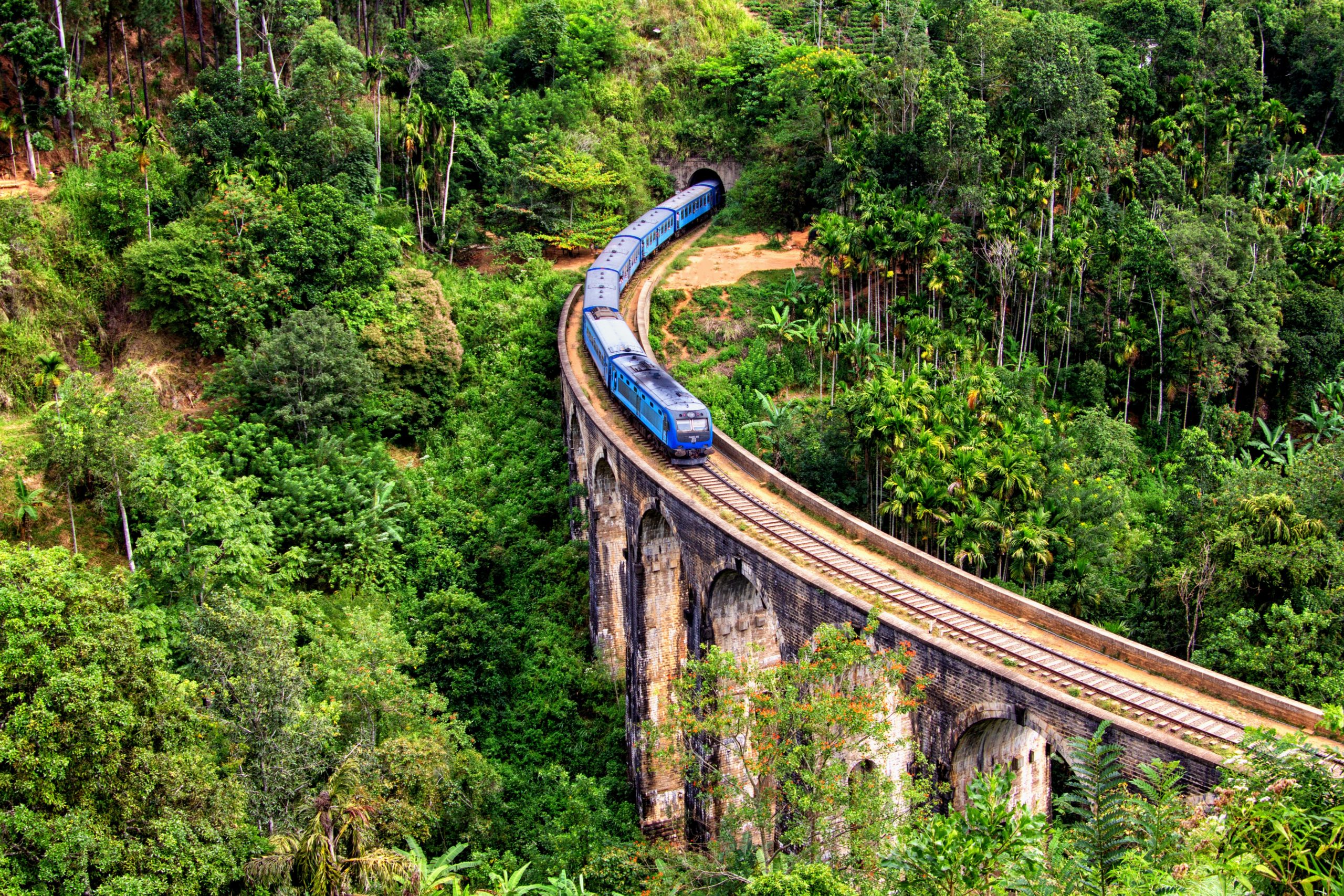 Wildlife in the natural landscapes of Sri Lanka